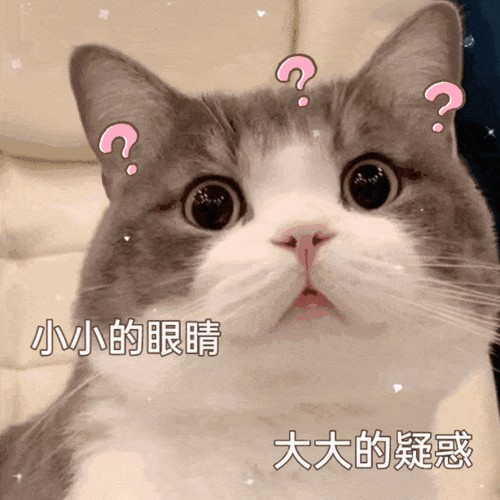 太心痛了！猫咪这5个行为，其实是在向你喊“救命”！