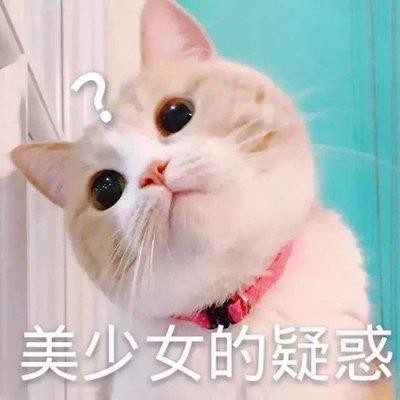 猫咪“颜值”排行榜，狸花猫垫底，网友：哭晕在厕所